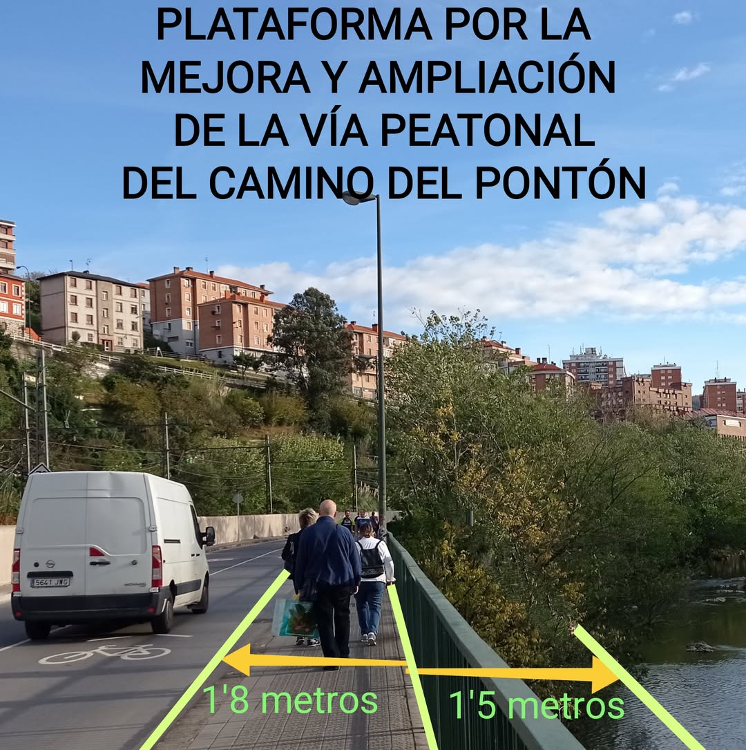 Pleno del Ayto